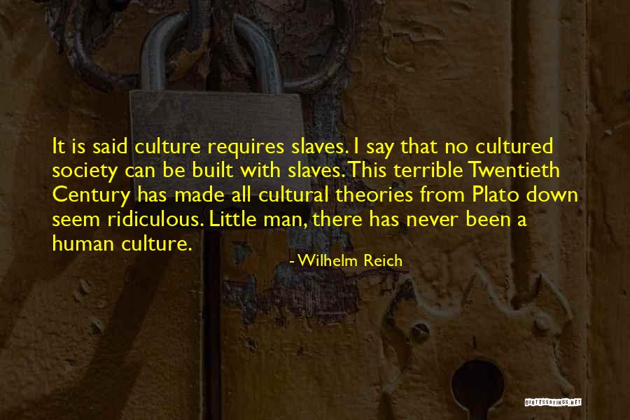 Hebbian Plasticity Quotes By Wilhelm Reich Hebbian Plasticity Quotes By Wilhelm Reich