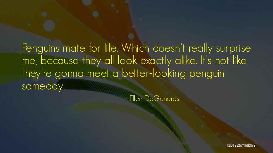 Hebbros Quotes By Ellen DeGeneres Hebbros Quotes By Ellen DeGeneres