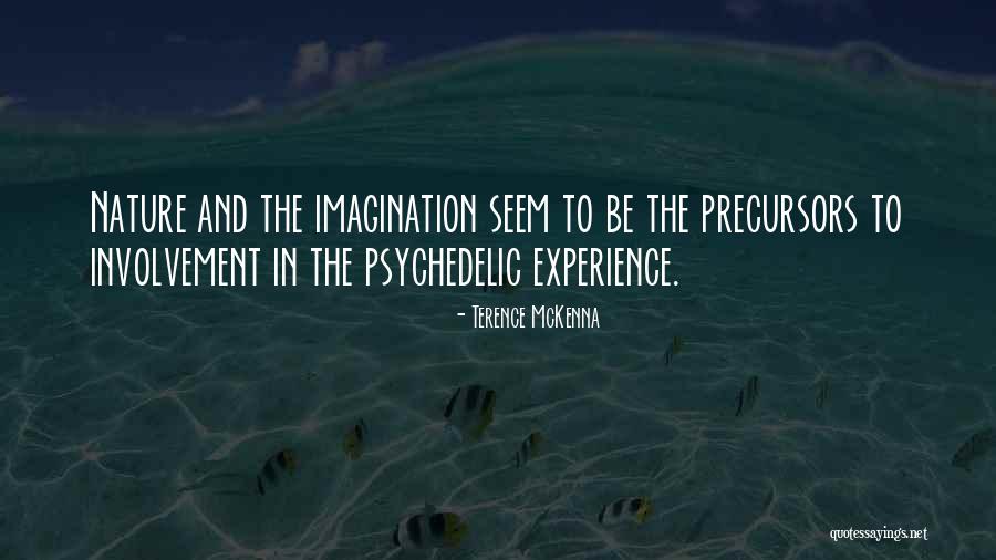 Hebridean Sky Quotes By Terence McKenna Hebridean Sky Quotes By Terence McKenna