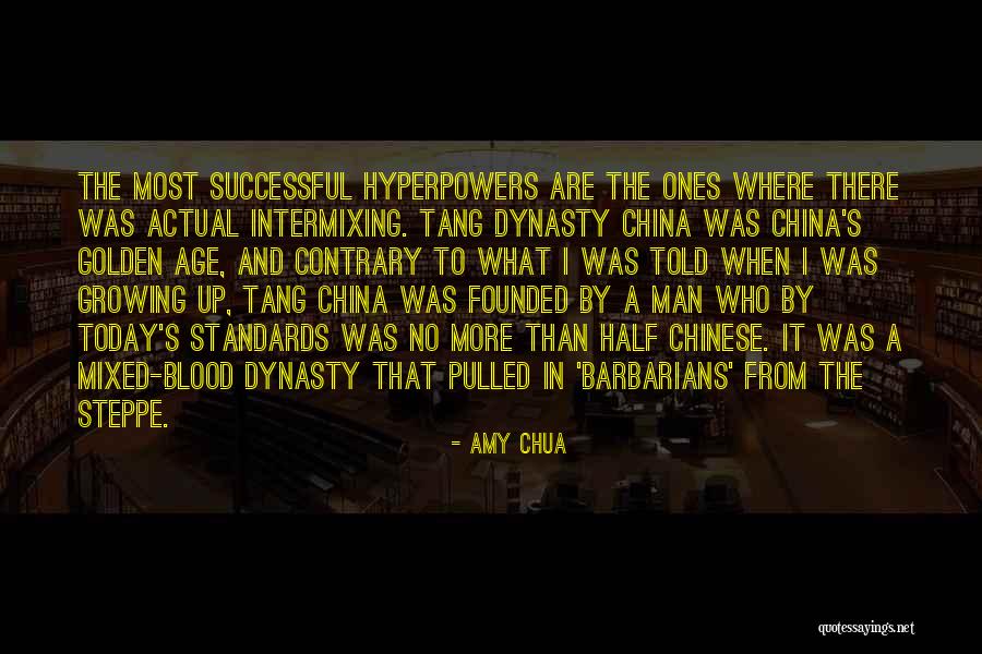 Hechizada Quotes By Amy Chua Hechizada Quotes By Amy Chua