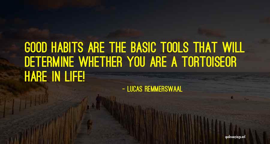 Hecox Automotive Schertz Quotes By Lucas Remmerswaal Hecox Automotive Schertz Quotes By Lucas Remmerswaal