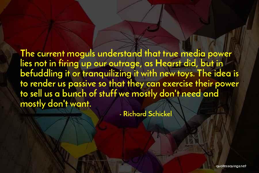 Hectare Acre Quotes By Richard Schickel Hectare Acre Quotes By Richard Schickel