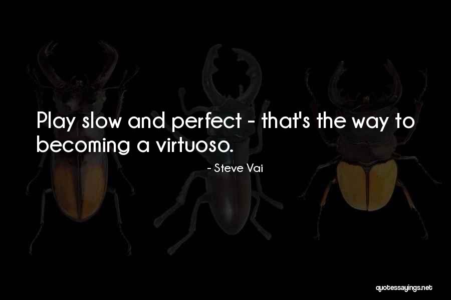 Hectic Job Quotes By Steve Vai