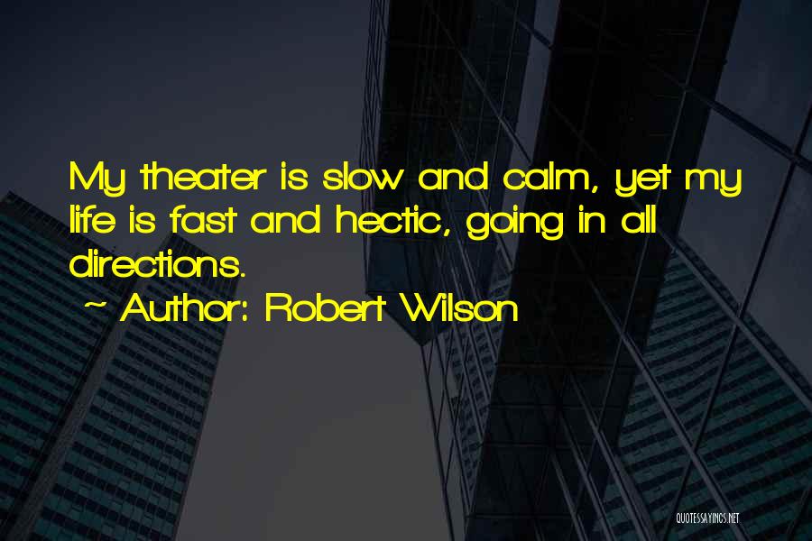 Hectic Life Quotes By Robert Wilson