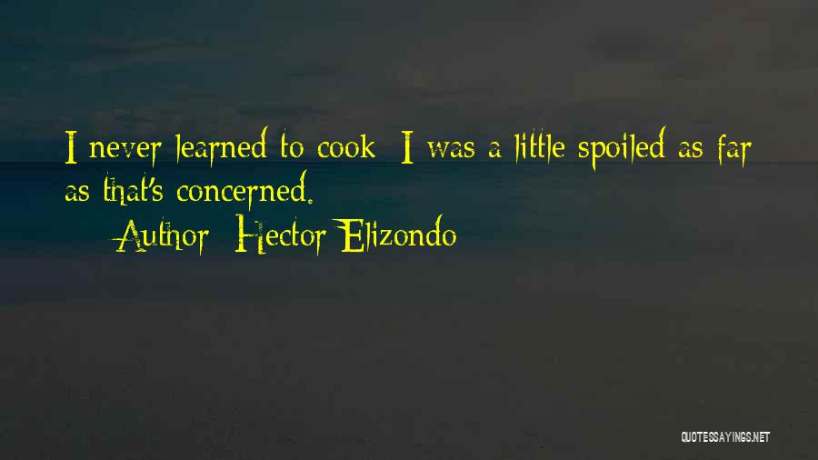 Hector Elizondo Quotes 1541590