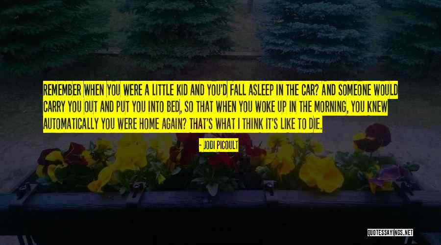 Heddie Hawkins Quotes By Jodi Picoult Heddie Hawkins Quotes By Jodi Picoult