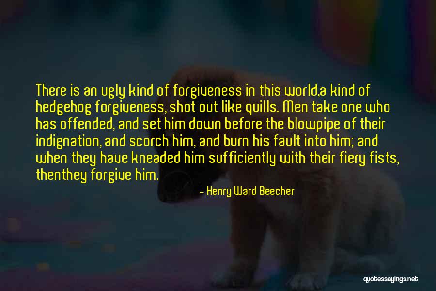 Hedgehog Quotes By Henry Ward Beecher Hedgehog Quotes By Henry Ward Beecher