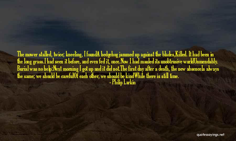 Hedgehog Quotes By Philip Larkin Hedgehog Quotes By Philip Larkin