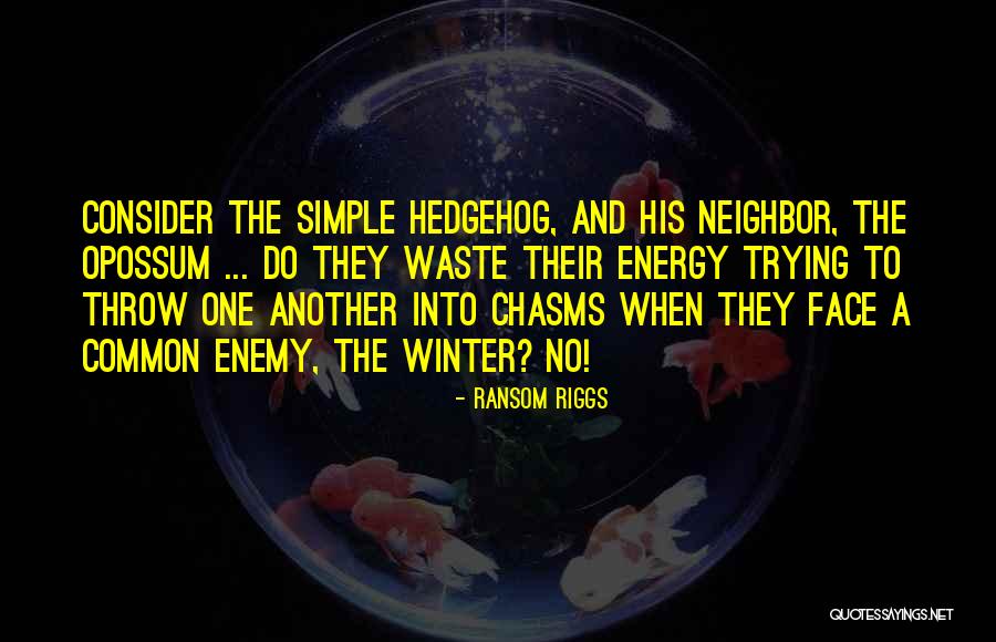 Hedgehog Quotes By Ransom Riggs Hedgehog Quotes By Ransom Riggs