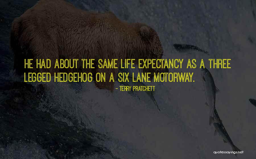 Hedgehog Quotes By Terry Pratchett Hedgehog Quotes By Terry Pratchett
