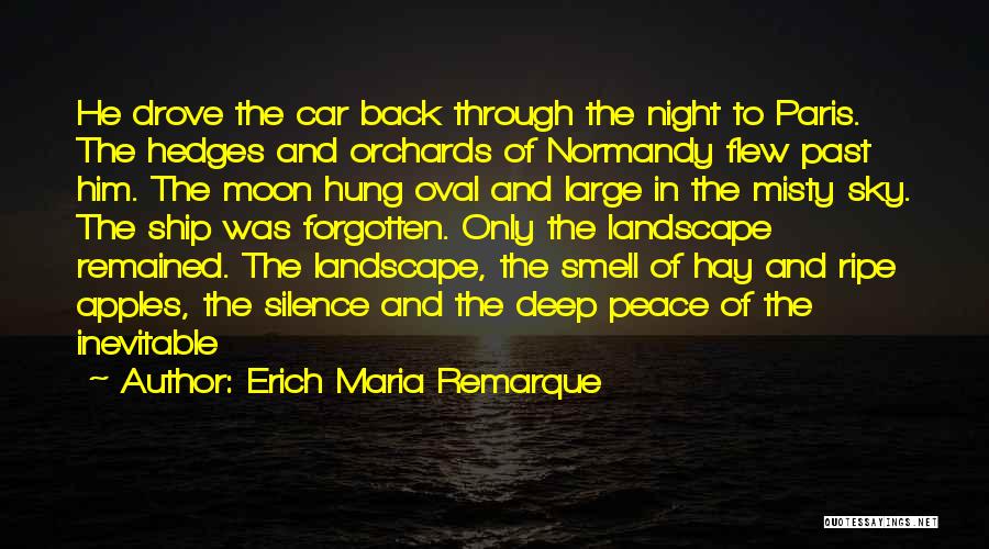 Hedges Quotes By Erich Maria Remarque