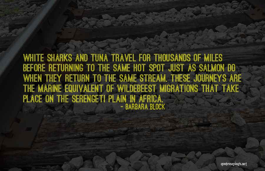 Hedgies Surprise Quotes By Barbara Block Hedgies Surprise Quotes By Barbara Block