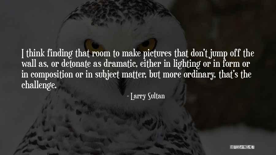 Hedonic Regression Quotes By Larry Sultan Hedonic Regression Quotes By Larry Sultan