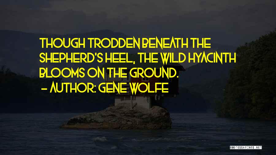 Heel Quotes By Gene Wolfe