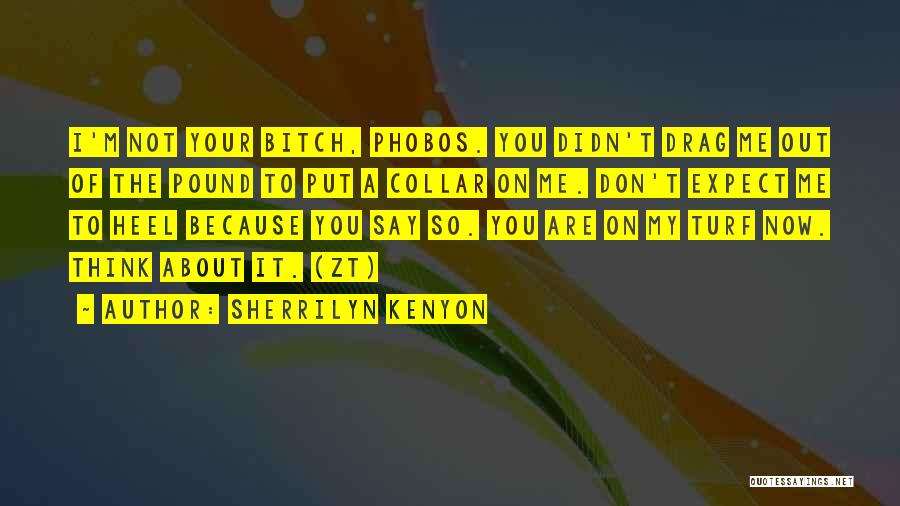 Heel Quotes By Sherrilyn Kenyon