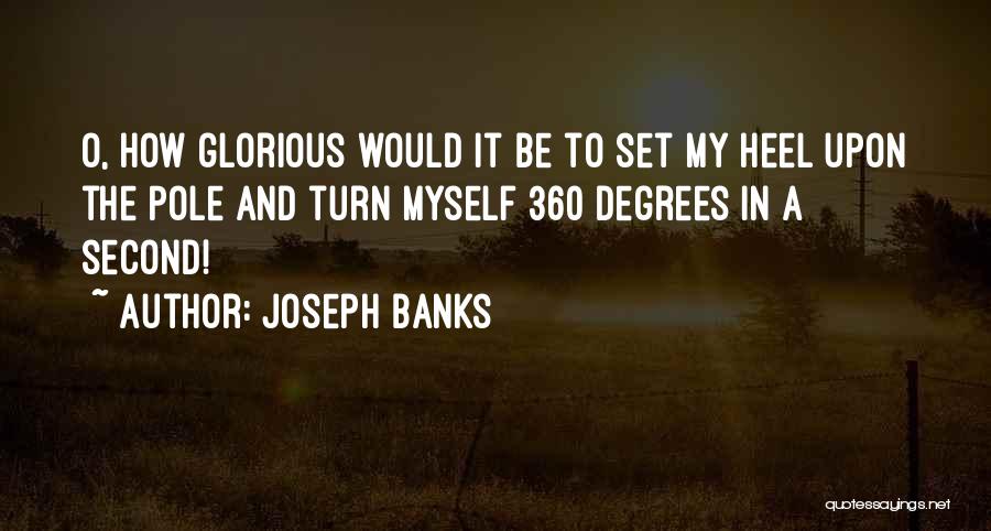 Heel Turn Quotes By Joseph Banks