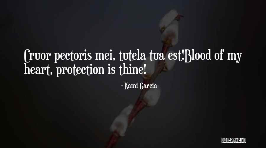 Heelflip Quotes By Kami Garcia Heelflip Quotes By Kami Garcia