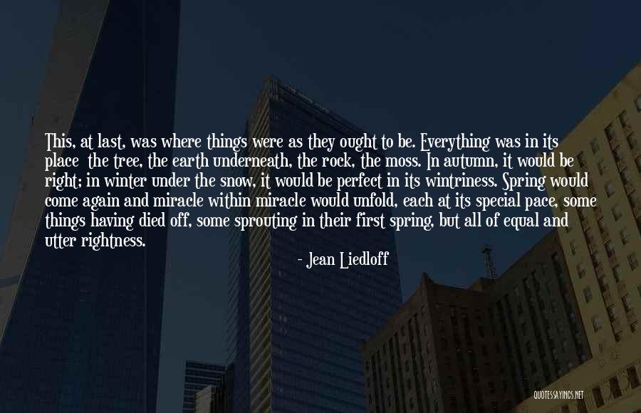 Heerlen Quotes By Jean Liedloff Heerlen Quotes By Jean Liedloff