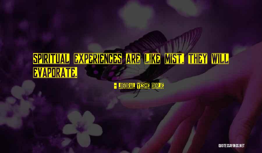Heerlen Quotes By Jigdral Yeshe Dorje Heerlen Quotes By Jigdral Yeshe Dorje