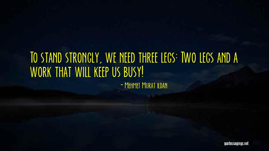 Hefted Sheep Quotes By Mehmet Murat Ildan Hefted Sheep Quotes By Mehmet Murat Ildan