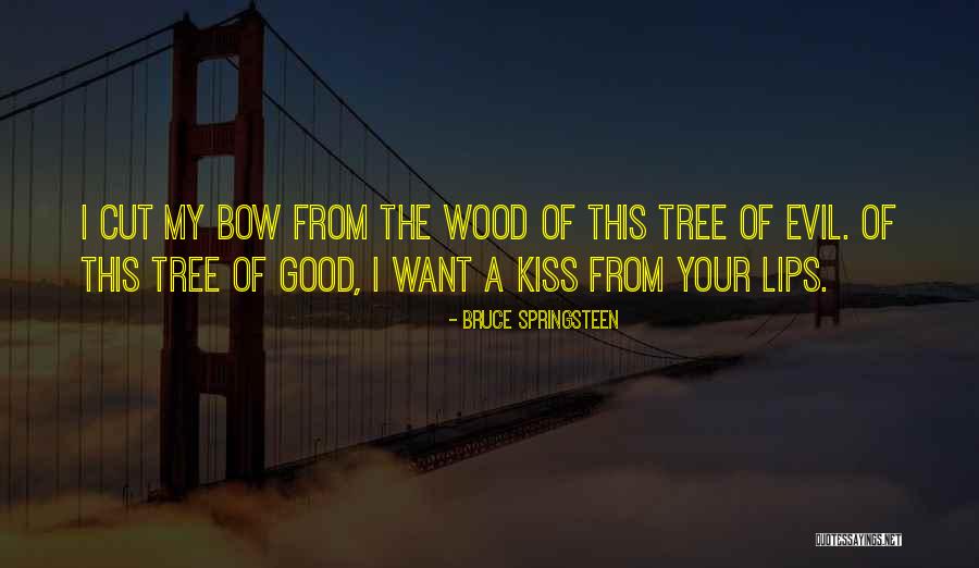 Hegelianism For Dummies Quotes By Bruce Springsteen Hegelianism For Dummies Quotes By Bruce Springsteen
