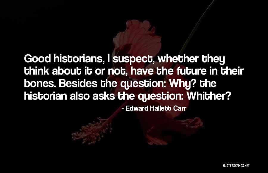 Hegemann Sunflower Quotes By Edward Hallett Carr Hegemann Sunflower Quotes By Edward Hallett Carr