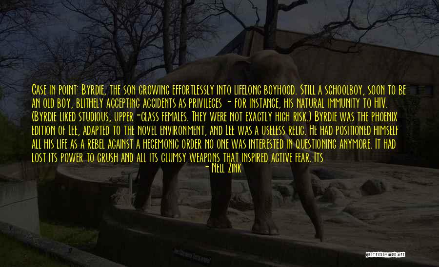 Hegemonic Power Quotes By Nell Zink Hegemonic Power Quotes By Nell Zink