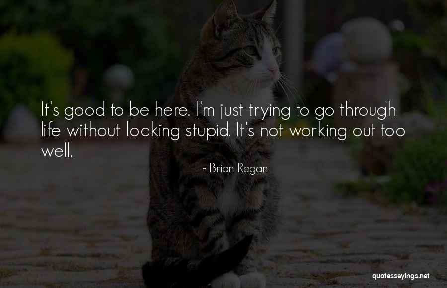 Hegenbarth In Falls Quotes By Brian Regan Hegenbarth In Falls Quotes By Brian Regan