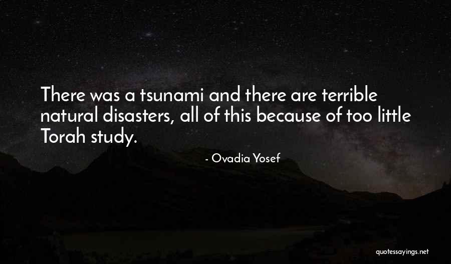 Heheheheheheh Quotes By Ovadia Yosef Heheheheheheh Quotes By Ovadia Yosef