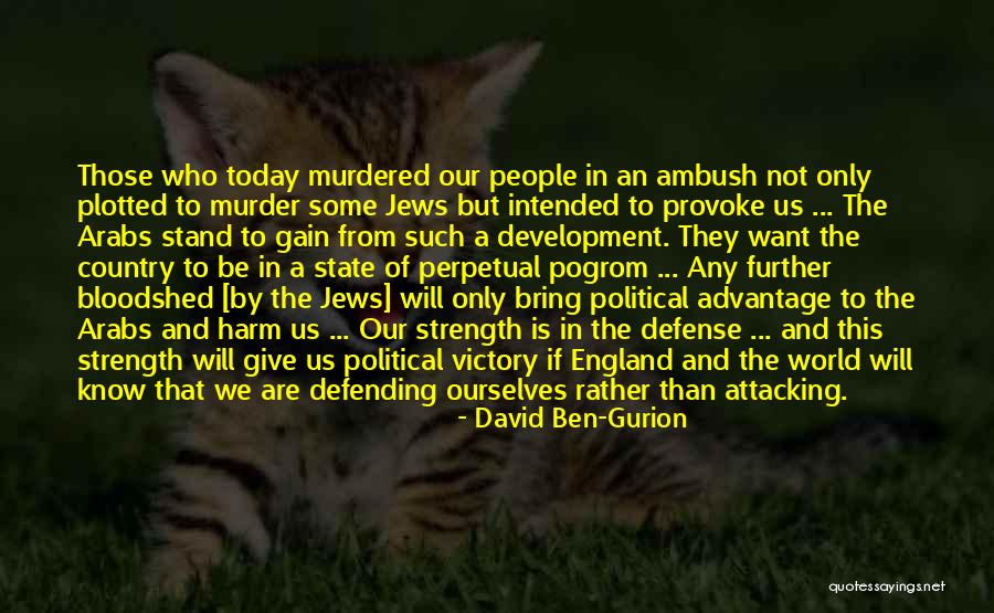 Heidecker Partner Quotes By David Ben-Gurion Heidecker Partner Quotes By David Ben-Gurion