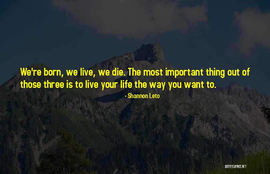Heideko Quotes By Shannon Leto Heideko Quotes By Shannon Leto