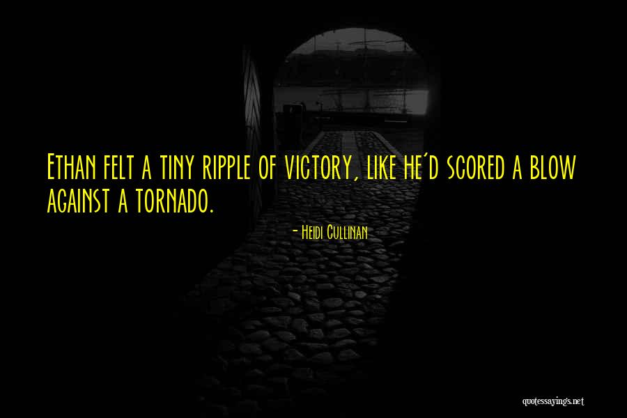 Heidi Cullinan Quotes 378676 Heidi Cullinan Quotes 378676
