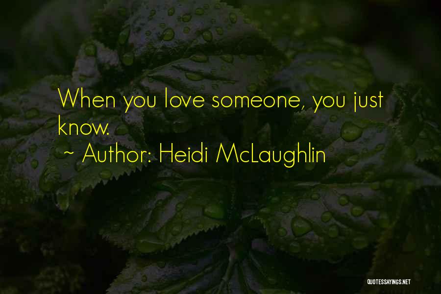 Heidi McLaughlin Quotes 221117