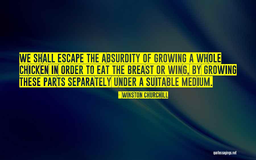 Heidy De La Quotes By Winston Churchill Heidy De La Quotes By Winston Churchill
