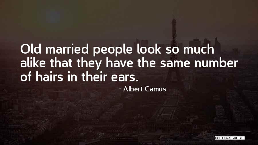 Height Difference Couple Quotes By Albert Camus Height Difference Couple Quotes By Albert Camus