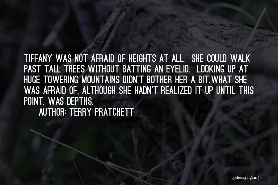 Heights Of Mountains Quotes By Terry Pratchett