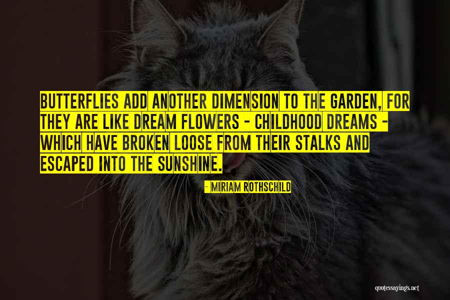 Heikki Kinnunen Quotes By Miriam Rothschild Heikki Kinnunen Quotes By Miriam Rothschild