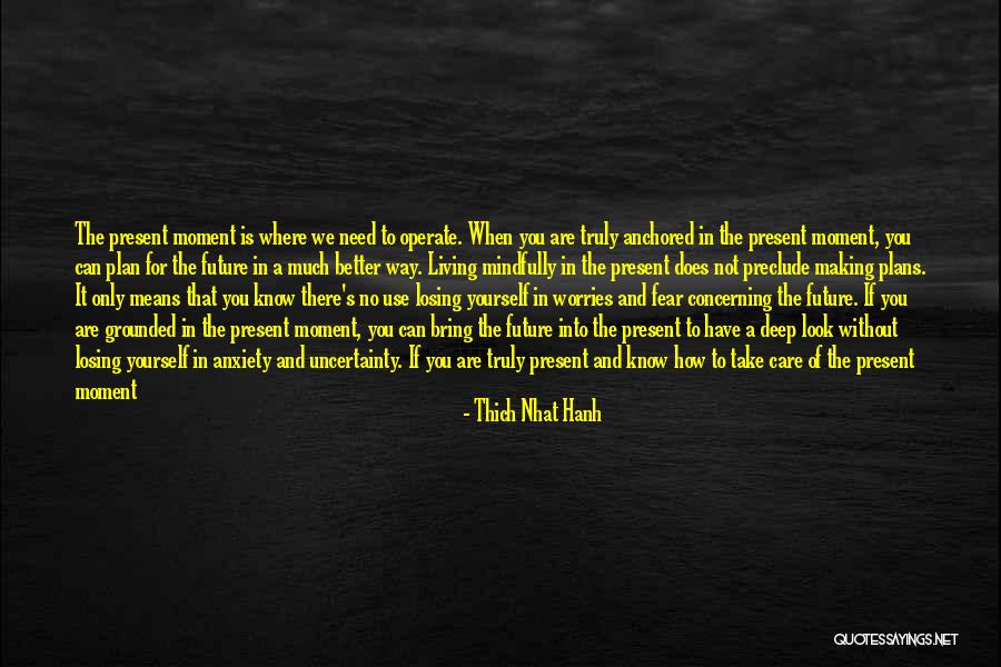 Heiligman Mogul Quotes By Thich Nhat Hanh Heiligman Mogul Quotes By Thich Nhat Hanh