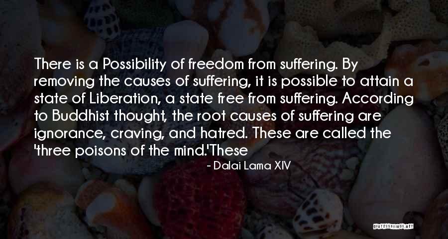 Heimaey Eruption Quotes By Dalai Lama XIV Heimaey Eruption Quotes By Dalai Lama XIV