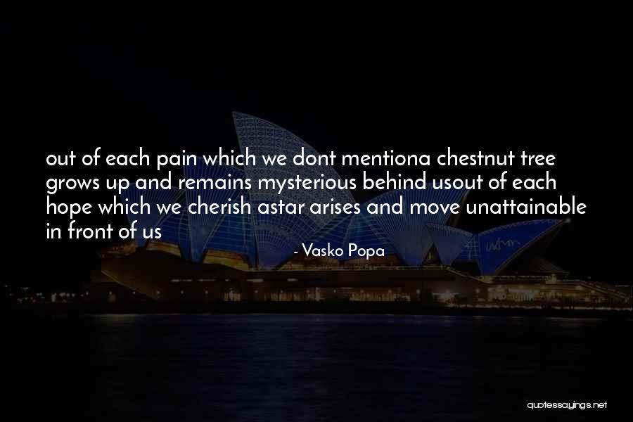 Heiman Homepage Quotes By Vasko Popa