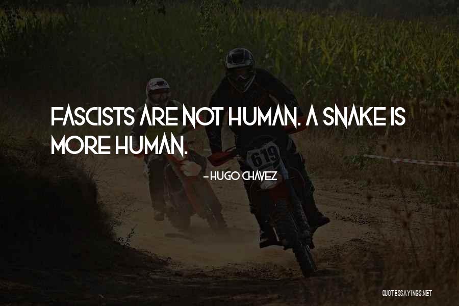 Heimir Einarsson Quotes By Hugo Chavez Heimir Einarsson Quotes By Hugo Chavez