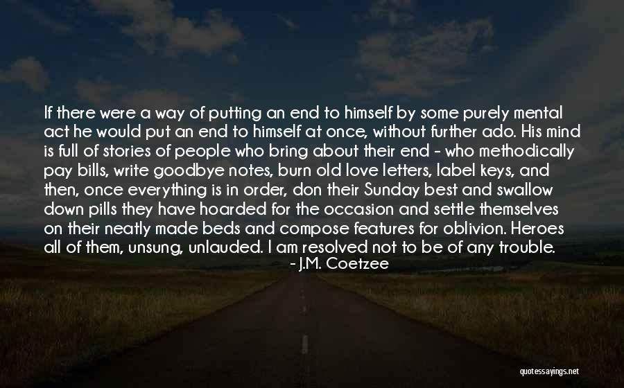 Heinerth Iceberg Quotes By J.M. Coetzee Heinerth Iceberg Quotes By J.M. Coetzee
