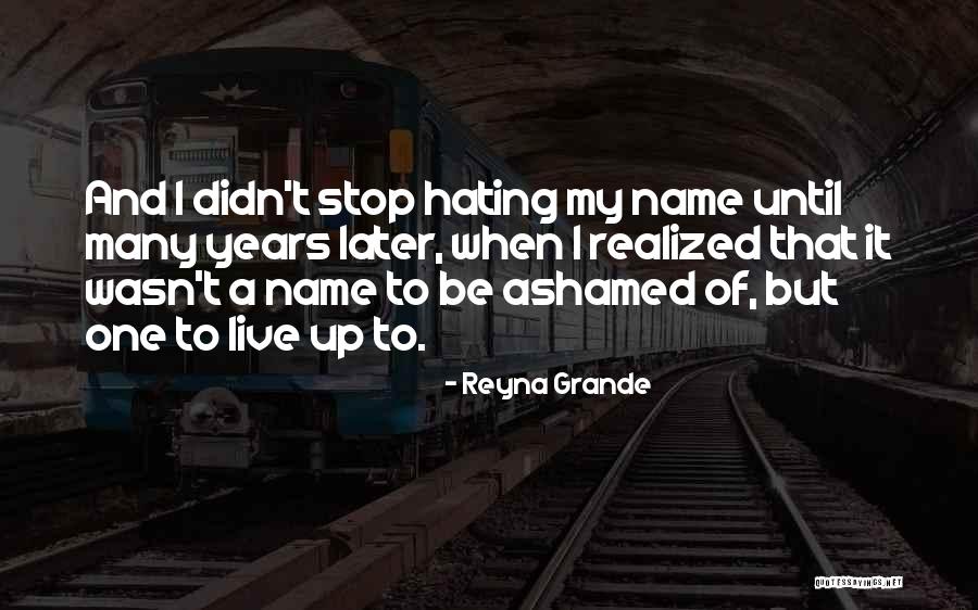 Heinerth Iceberg Quotes By Reyna Grande Heinerth Iceberg Quotes By Reyna Grande