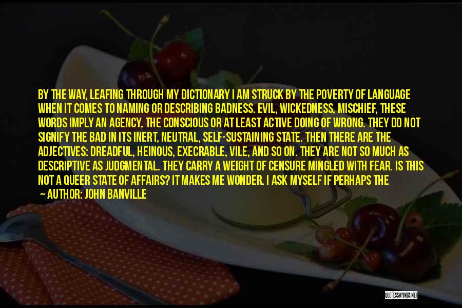 Heinous Quotes By John Banville