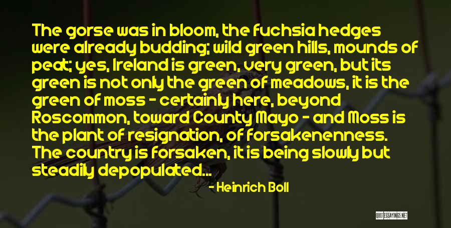 Heinrich Boll Quotes 2065241 Heinrich Boll Quotes 2065241