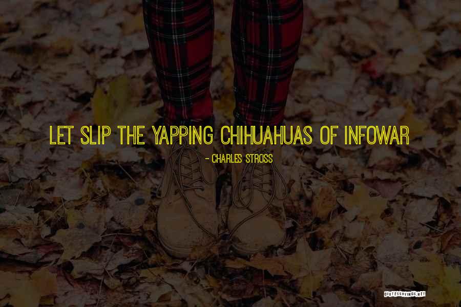 Heintzelmans Bbq Pit Quotes By Charles Stross Heintzelmans Bbq Pit Quotes By Charles Stross