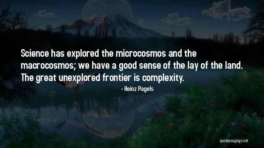 Heinz Pagels Quotes 1192869