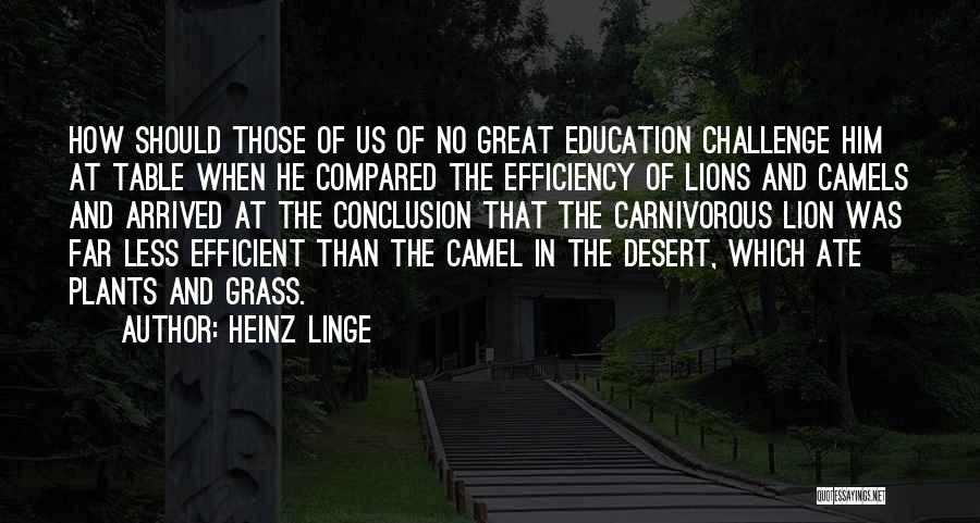 Heinz Quotes By Heinz Linge