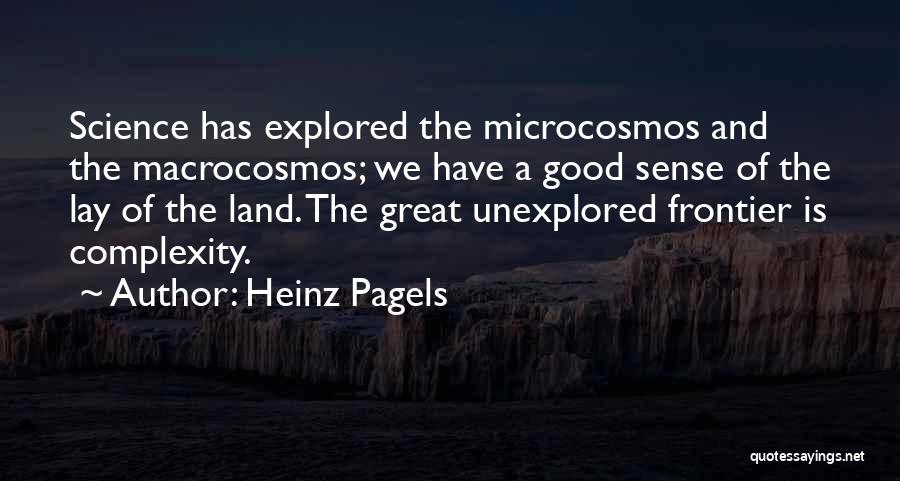 Heinz Quotes By Heinz Pagels