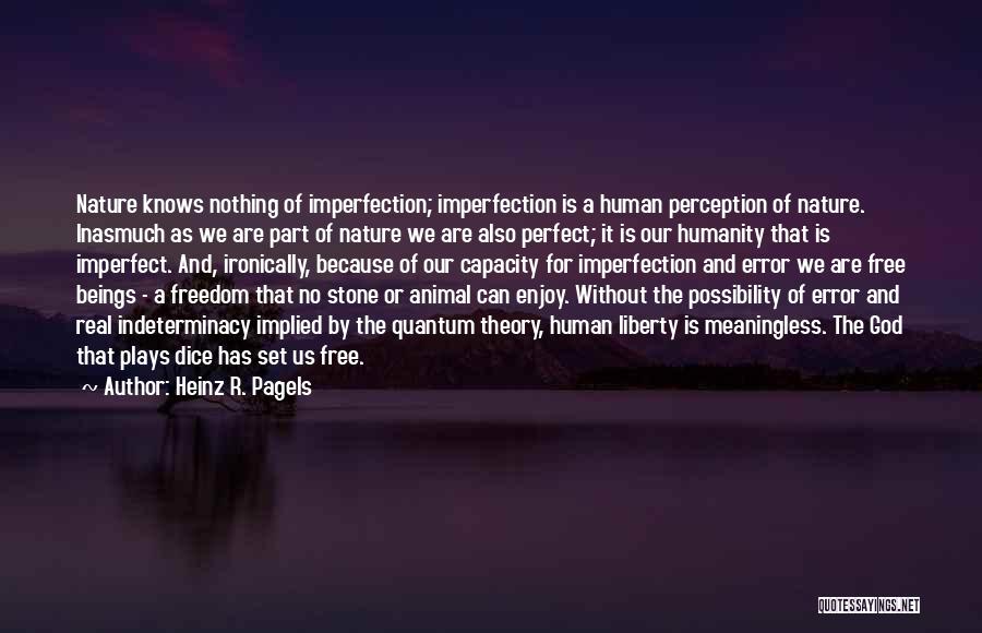 Heinz R. Pagels Quotes 1392326